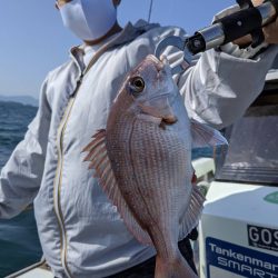 海季丸（みきまる） 釣果