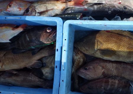 Big One ビッグワン 釣果