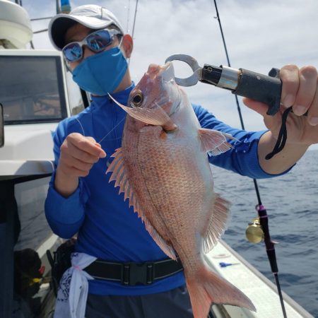 海季丸（みきまる） 釣果