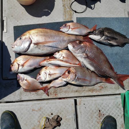 海季丸（みきまる） 釣果