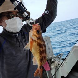 海季丸(みきまる) 釣果