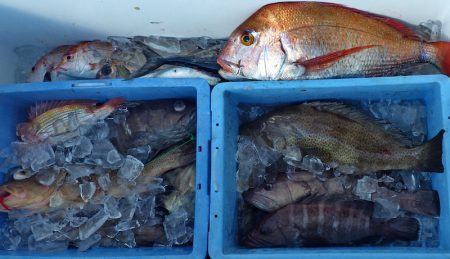 Big One　ビッグワン 釣果