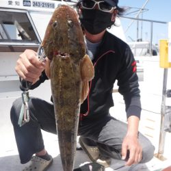 ＪＤＩ　Ｒａｃｉｎｇ　シールズマリンレジャー 釣果