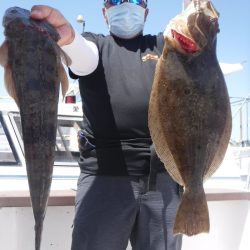 ＪＤＩ　Ｒａｃｉｎｇ　シールズマリンレジャー 釣果