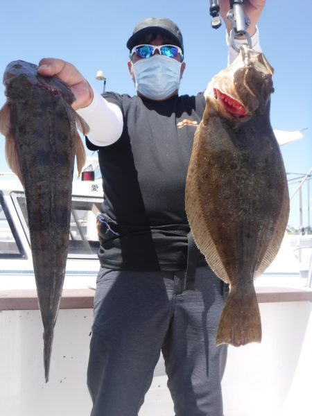 ＪＤＩ　Ｒａｃｉｎｇ　シールズマリンレジャー 釣果