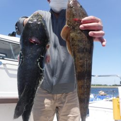 ＪＤＩ　Ｒａｃｉｎｇ　シールズマリンレジャー 釣果