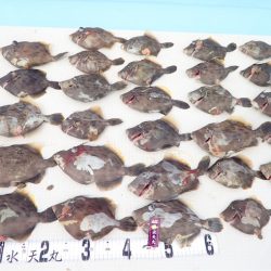 水天丸 釣果