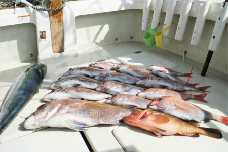 KIM Fishing Guide Ser…