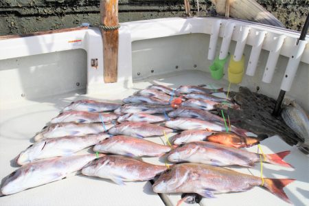 KIM Fishing Guide Ser…