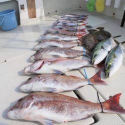 KIM Fishing Guide Service 釣果