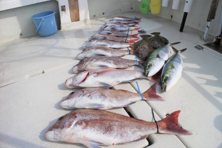 KIM Fishing Guide Ser…