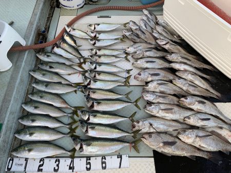 オーシャンスター(Ocean Star) …