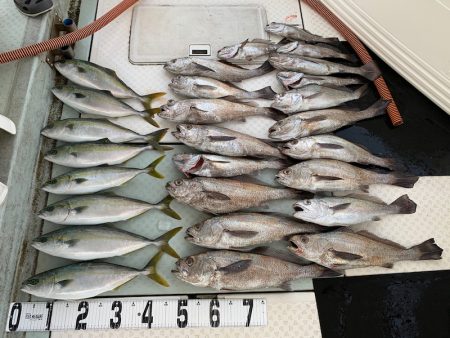 オーシャンスター(Ocean Star) …