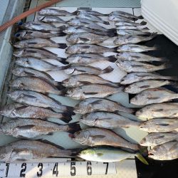 オーシャンスター(Ocean Star) 釣果