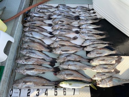 オーシャンスター(Ocean Star) …