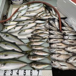 オーシャンスター(Ocean Star) 釣果