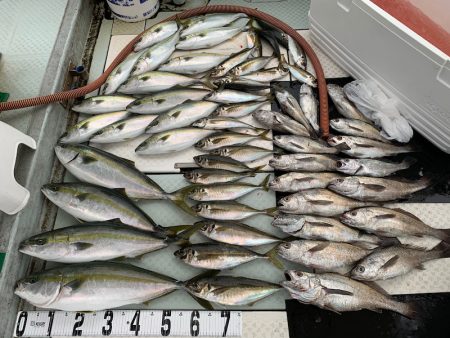 オーシャンスター(Ocean Star) …