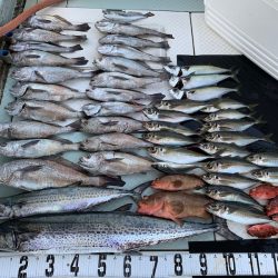 オーシャンスター(Ocean Star) 釣果