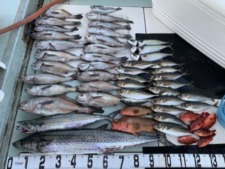 オーシャンスター(Ocean Star) …