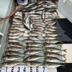 オーシャンスター(Ocean Star) 釣果