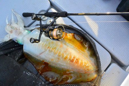 South Current 釣果