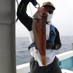 ＢｌｕｅＮｏｔｅ　Ｆｉｓｈｉｎｇ　Ｔａｘｉ 釣果