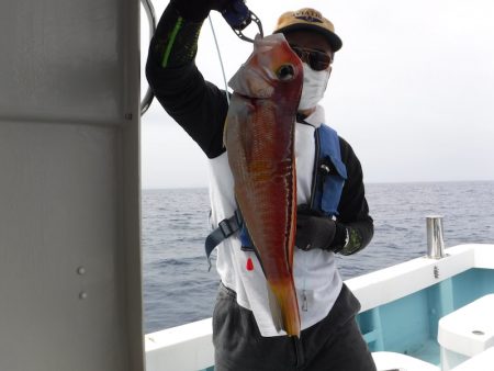 ＢｌｕｅＮｏｔｅ　Ｆｉｓｈｉｎｇ　Ｔａｘｉ 釣果