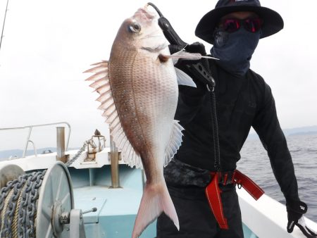 ＢｌｕｅＮｏｔｅ　Ｆｉｓｈｉｎｇ　Ｔａｘｉ 釣果