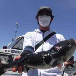 ＪＤＩ　Ｒａｃｉｎｇ　シールズマリンレジャー 釣果