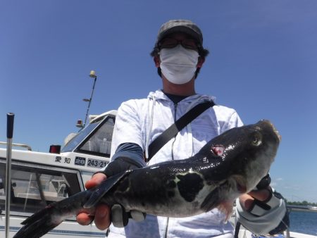 ＪＤＩ　Ｒａｃｉｎｇ　シールズマリンレジャー 釣果