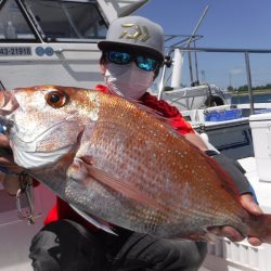 ＪＤＩ　Ｒａｃｉｎｇ　シールズマリンレジャー 釣果