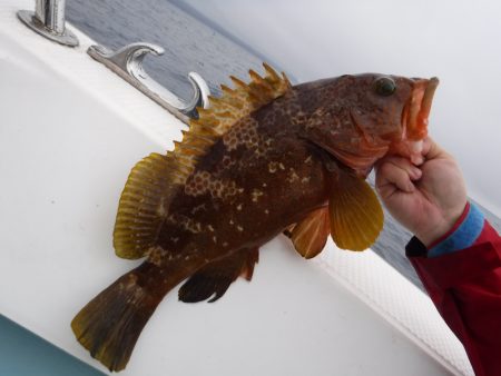 ＢｌｕｅＮｏｔｅ　Ｆｉｓｈｉｎｇ　Ｔａｘｉ…