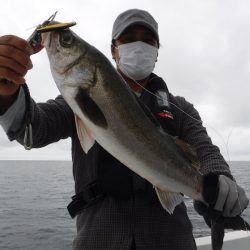 ＢｌｕｅＮｏｔｅ　Ｆｉｓｈｉｎｇ　Ｔａｘｉ 釣果