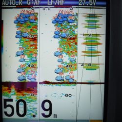 ＢｌｕｅＮｏｔｅ　Ｆｉｓｈｉｎｇ　Ｔａｘｉ 釣果