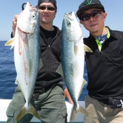 ＢｌｕｅＮｏｔｅ　Ｆｉｓｈｉｎｇ　Ｔａｘｉ 釣果