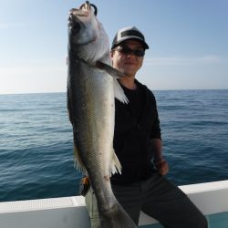 ＢｌｕｅＮｏｔｅ　Ｆｉｓｈｉｎｇ　Ｔａｘｉ 釣果