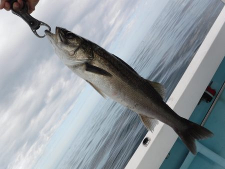 ＢｌｕｅＮｏｔｅ　Ｆｉｓｈｉｎｇ　Ｔａｘｉ 釣果