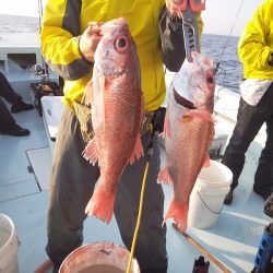 ひな丸 釣果