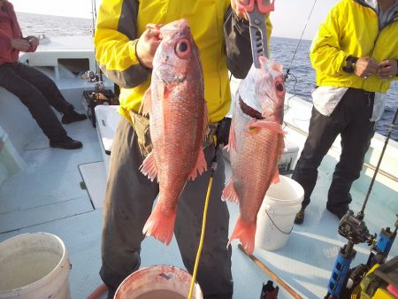 ひな丸 釣果