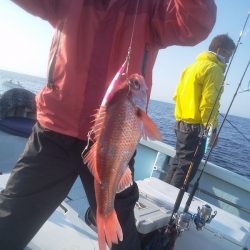ひな丸 釣果