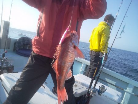 ひな丸 釣果