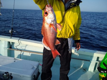ひな丸 釣果