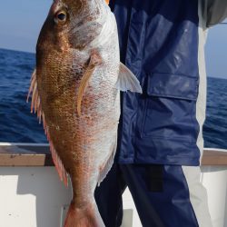 JDI Racing シールズマリンレジャー 釣果