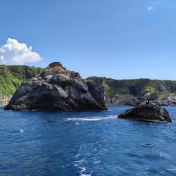 宮島丸 釣果