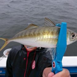 深川 吉野屋 釣果