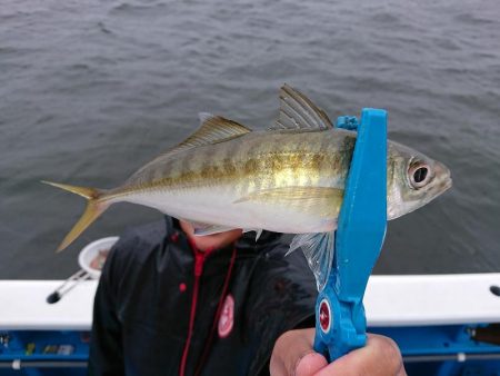 深川　吉野屋 釣果