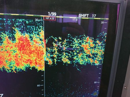 深川 吉野屋 釣果