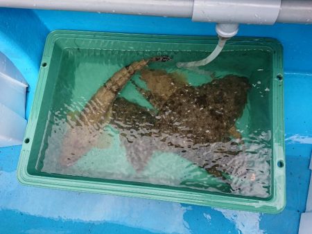 深川　吉野屋 釣果