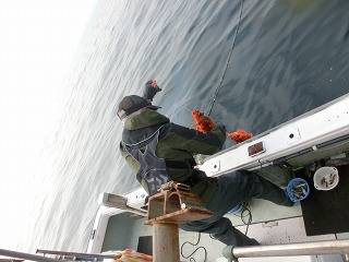 第二清洋丸 釣果