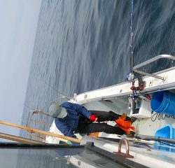 第二清洋丸 釣果